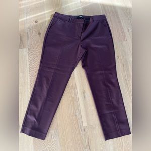 Express Maroon Dress Pant